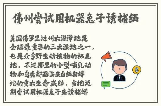 九·幺下载玩命加载中
